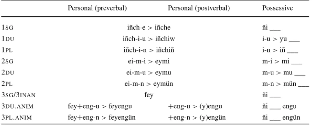Table 1 Personal and possessive pronouns in Mapudungun