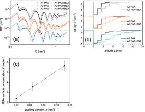 Figure 4: (a): Neutron reflectivity data and fits for the PAA brushes A1–A3 before and after adsorption of BSA