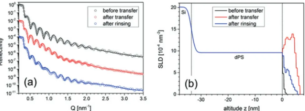 Figure 2: X-ray reflectivity (a) and extracted SLD profiles (b) of sample A2, transferred at a pre-adjusted lateral density on the water surface of 