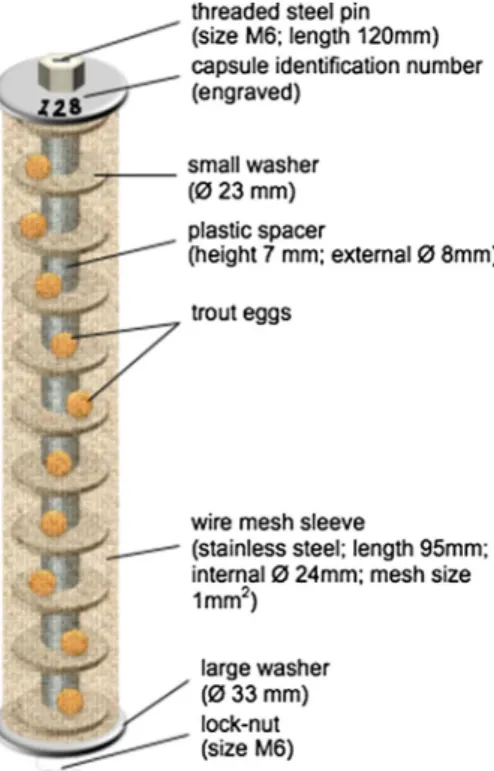 Fig. 2 Egg capsule design