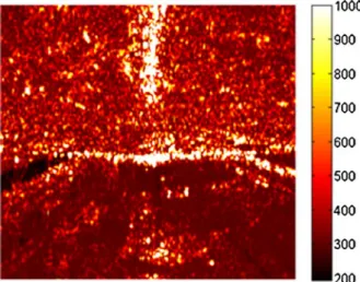 Fig. 7 Rotrad94 passive image of the hall, in voltage scale [V]
