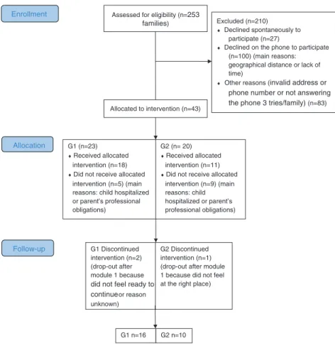 Figure 1 Flow diagram of the intervention.