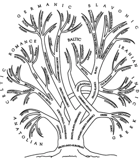 Figure 3: Indo-European family tree.