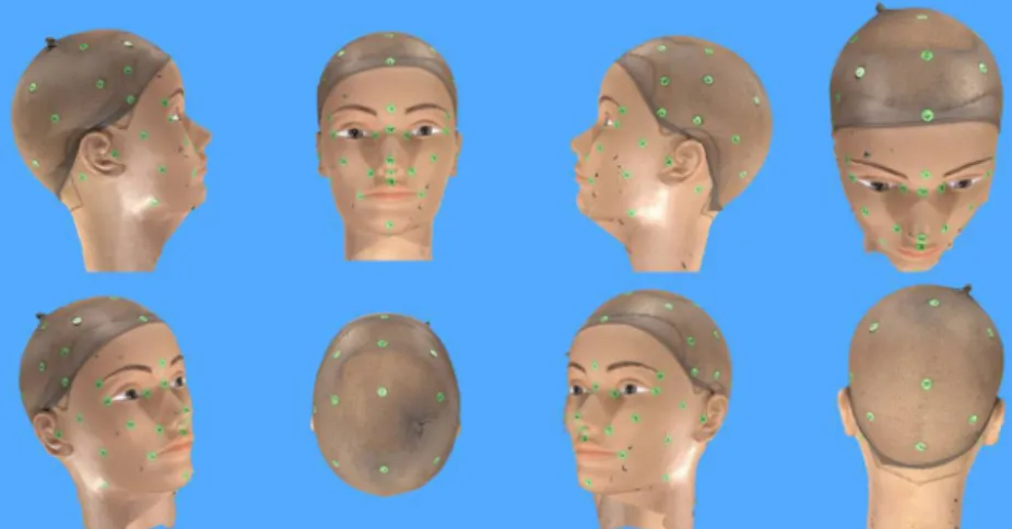 Fig. 1 Virtual model of the mannequin head as acquired by the 3D VECTRA photosystem (Canfield, Fairfield, NJ)
