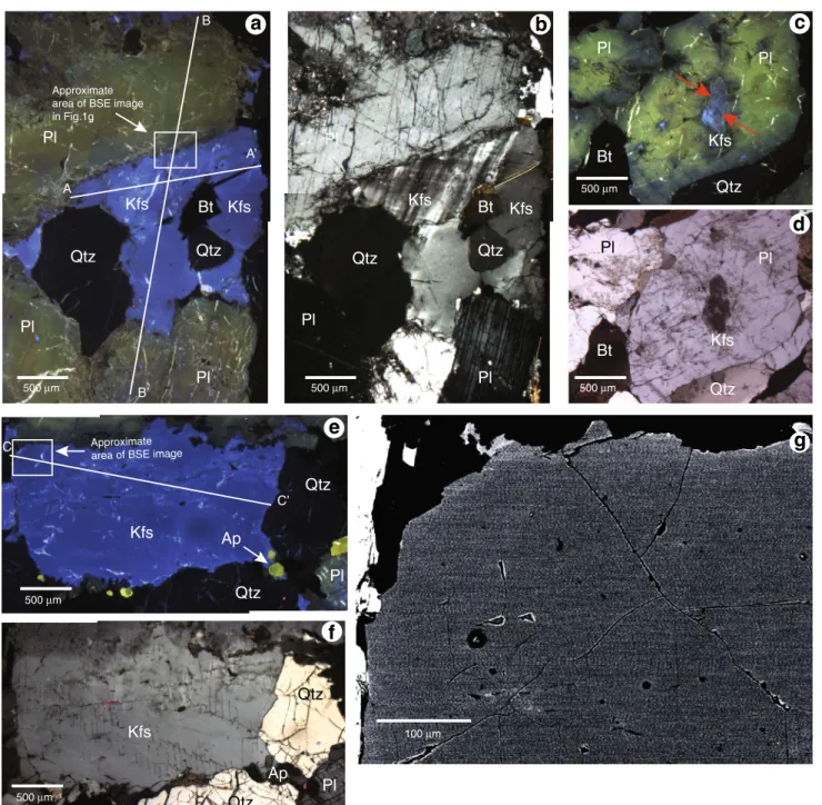 Fig. 1 Petrography of CPP-02-01. Scale bars in (a–f) are 0.5 mm.