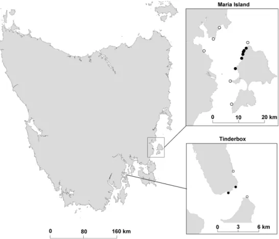 Fig. 1   location of study sites  in Tasmania, southern australia. 