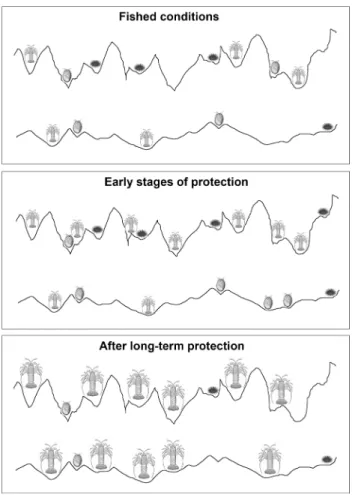 Fig. 6   relationship between invertebrates and habitat structure under  fished and protected conditions