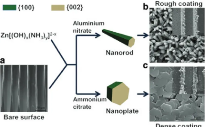 Figure 2: SEM images of the different ZnO nanostructers on wood. 