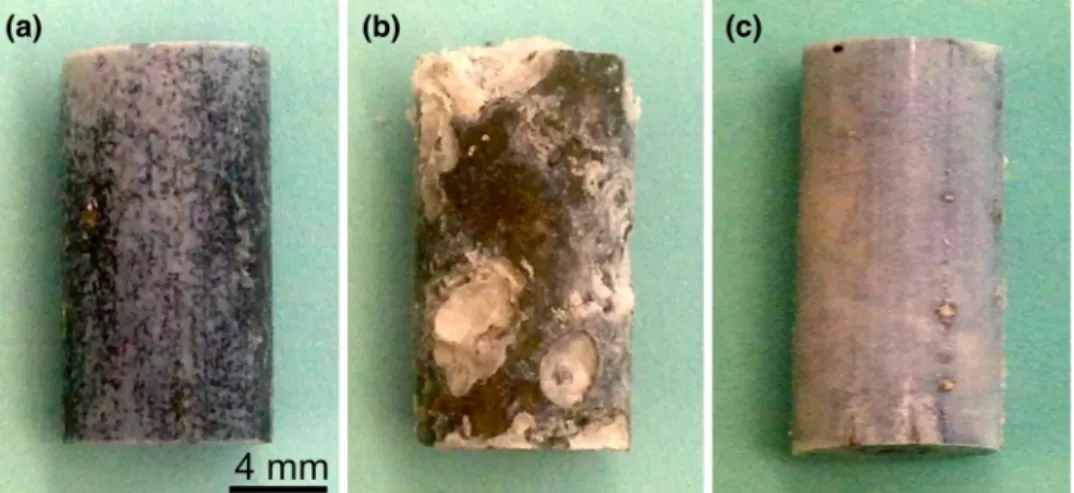 Fig. 5. Surface topography of samples after immersion in SBF. (a) XHP ZX50 shows no local corrosion attack after 2 weeks of immersion in CO 2 -buffered SBF and (b) massive localized attack in Tris-buffered SBF already after 3 days