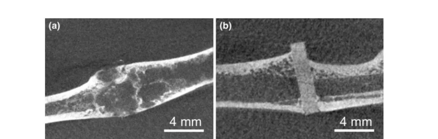 Fig. 7. lCT reconstructions (two-dimensional slices) of Mg pins implanted into the femur of Sprague–Dawley rats 12 weeks after operation.