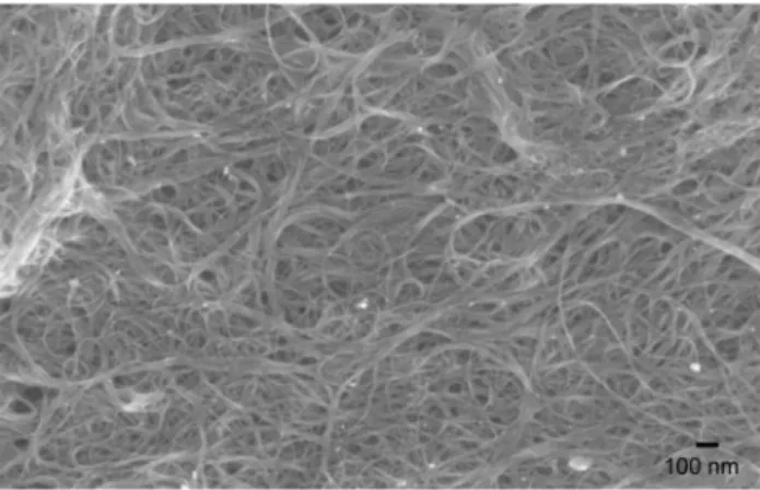 Fig. 3 Sequence of images from a SWCNT donor film deposited by spin coating onto a 300-nm-thick TP layer immediately after LIFT
