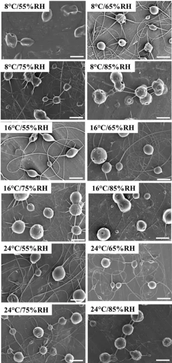 Fig. 2 SEM micrographs of the morphology of 6 % PVA/limonene fibers electrospun in various conditions (the scale bar represents 2 lm)