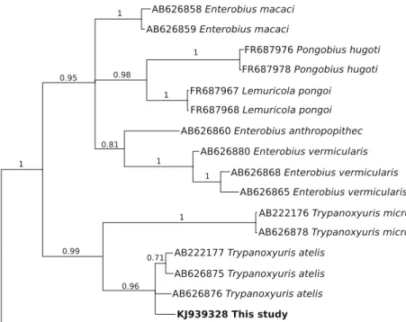 Fig. 1 Phylogenetic relationship of an oxyurid nematode (Trypanoxyuris atelis) collected at necropsy from a black-handed spider monkey (Ateles geoffroyi) at Basel Zoo, Switzerland