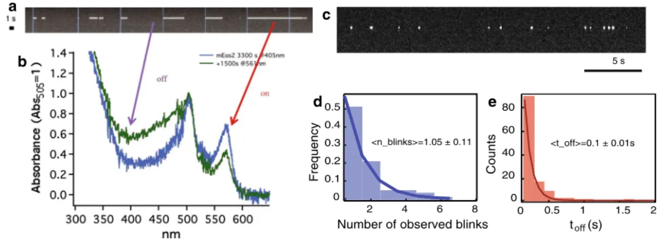 Fig.  1   a A single-molecule kymograph of an individual meos2 mole- mole-cule, upon pulsed 405 nm irradiation (blue vertical lines)