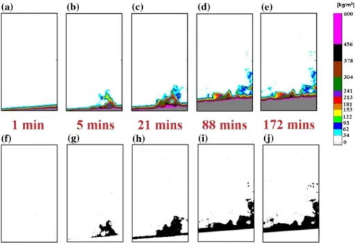 Fig. 4 (a–e) Temporal and spatial variations of the moisture content distribution (MCD) inside Specimen VD4-1 at five time steps