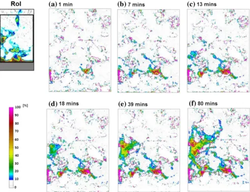 Fig. 6 Temporal and spatial variations of the degree of saturation inside the selected RoI of Specimen VD4-2