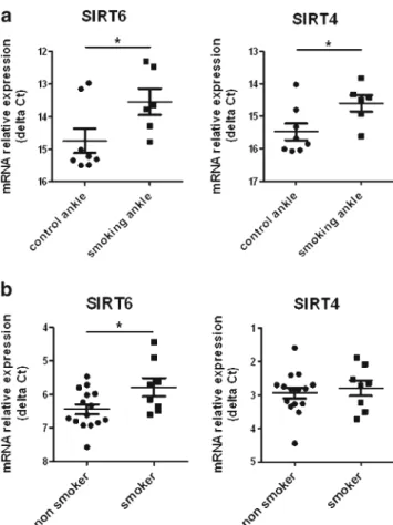 Fig. 2 Exposure to cigarette smoke enhances the expression of sirtuins in vivo. a Increased mRNA levels of SIRT6 and SIRT4 in the ankles of mice exposed to cigarette smoke (smoking ankle, n=6) as compared to control treated mice (control ankle, n=8)