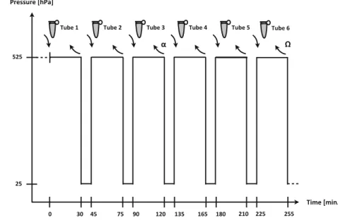 Fig. 4 Cross section at the level of the test window (TW) of one specimen after use. No leakage has occurred between root surface and composite coating (CC)