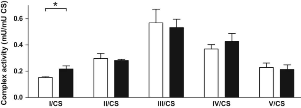 Fig. 5 Effect of PTCD1 knockdown on the enzymatic activities of the respiratory chain complexes in isolated mitochondria