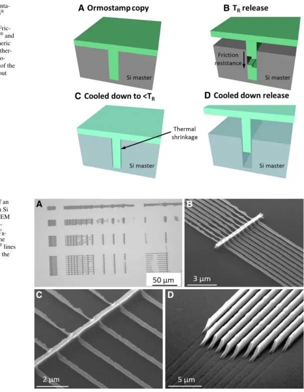 Fig. 3   Schematic representa- representa-tions of a the OrmoStamp ® copy still in the Si master
