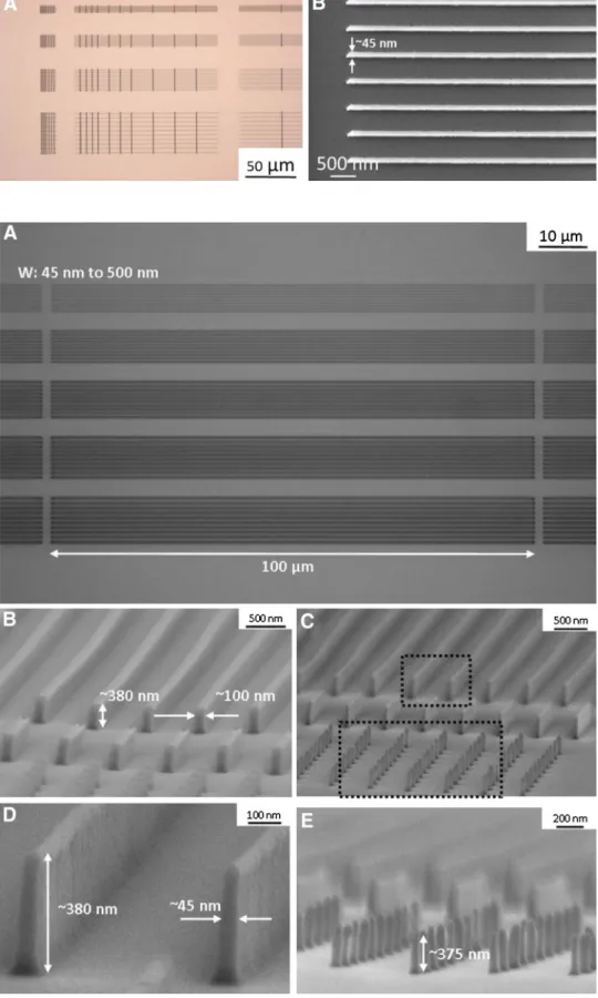 Fig.  5   a Optical microscope  picture of the structures released  at  − 8 °C and  a,  b SEM  image of an array of lines with 