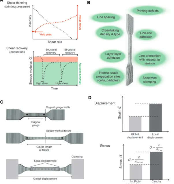 Figure 1: A schematic illustration of the important rheological and mechanical characteristics of bioprinted structures.