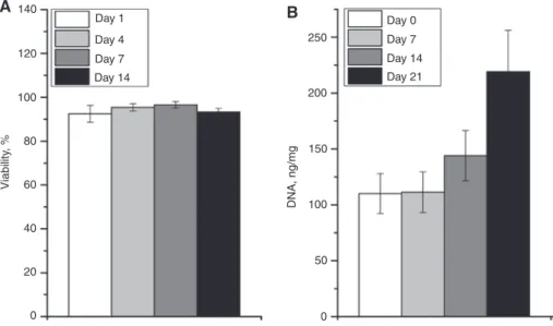 Figure 6: Biocompatibility assays performed for Vivoflow printed scaffolds.