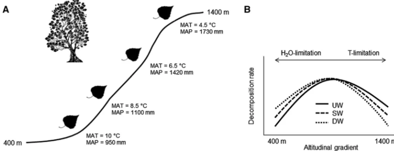 Table 1. Biogeochemical Characteristics of the Topsoil Layer (0 to -10 cm) at the Control Site at 1350 m a.s.l