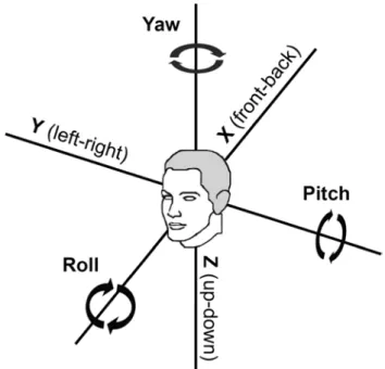 Fig. 1   coordinate system with the linear (x, y, z) and angular (yaw,  pitch, roll) motion directions