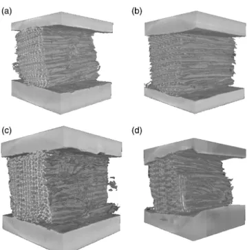 Fig. 5 Volume rendering on four datasets at 10 %RH for (a) latewood in tangential direction, (b) earlywood in tangential direction, (c) latewood in radial direction and (d) earlywood in radial direction