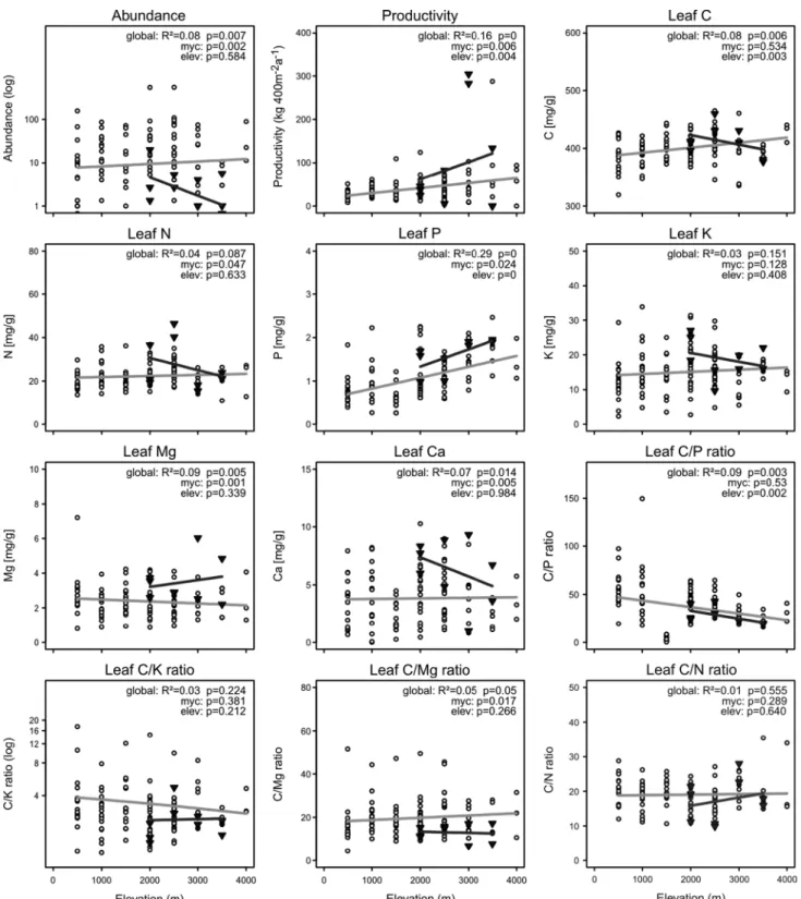 Fig. 3   elevational patterns of abundances, relative productivity and  leaf nutrient concentrations and ratios of mycorrhizal (open circles)  and non-mycorrhizal (black triangles) species along an elevational  gradient in ecuador