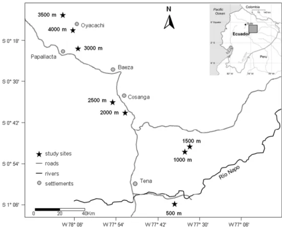 Fig. 1   location of the study  sites on the humid eastern  andean slope in ecuador