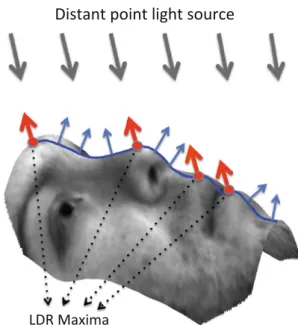 Fig. 1 Some Lambertian diffuse reflectance (LDR) maxima on the surface of a face in one input image