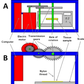 Fig. 1 Schematic drawing of the custom-made motor-controlled biome- biome-chanical force elongation tester