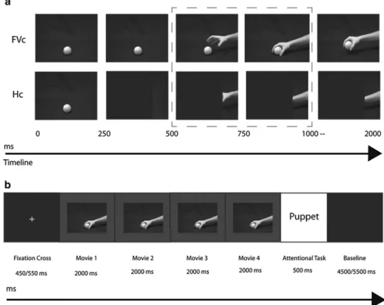 Fig. 1 Stimuli and