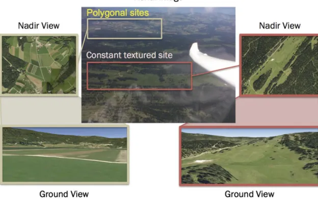 Fig. 1 Importance of shape cues for landing site detection. The center image was taken from a glider flying along a mountain ridge