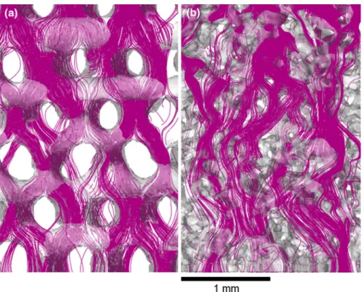 FIGURE 6. 3D fluid flow streamlines across: (a) PCL scaffold and (b) SF scaffold. Perfusion flow direction is from top to bottom.