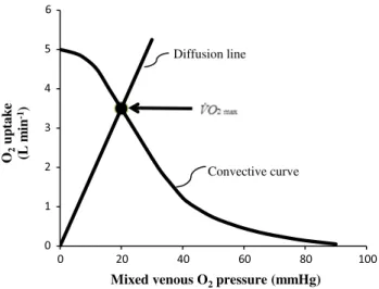 Fig. 6   Graphical representation of wagner’s model. Oxygen uptake  ( V˙ O 2 ) is plotted as a function of mixed venous oxygen pressure  (P v O 2 )