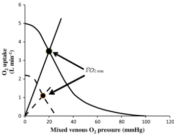 Fig. 9   Effects of altitude on the maximal cycling speed. Speed is  expressed relative to the maximal speed at sea level, set equal to 1  (v a /v nm , ordinate)