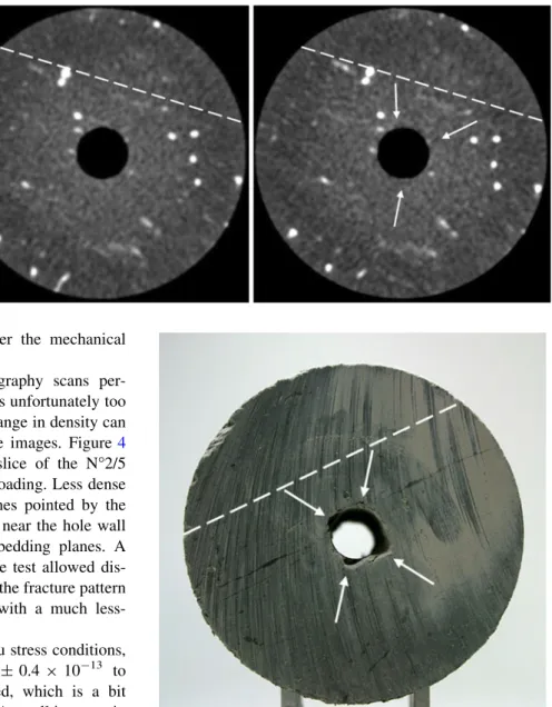 Fig. 4 Medium resolution XRCT scans of the Opalinus Clay sample N2/5 cored parallel to the bedding planes, before (left) and after (right) mechanical unloading