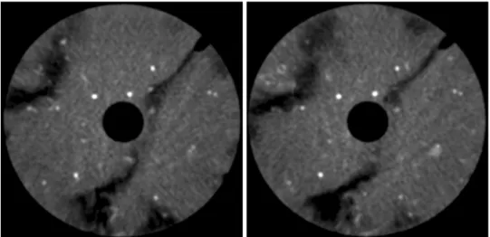 Fig. 7 Medium resolution X-ray CT images of the Opalinus Clay sample N C before (left) and after (right) mechanical unloading