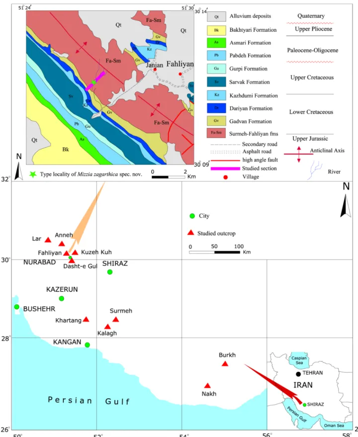 Fig. 1 Location map of the studied outcrops in the Zagros fold-thrust belt and type locality of Mizzia zagarthica sp