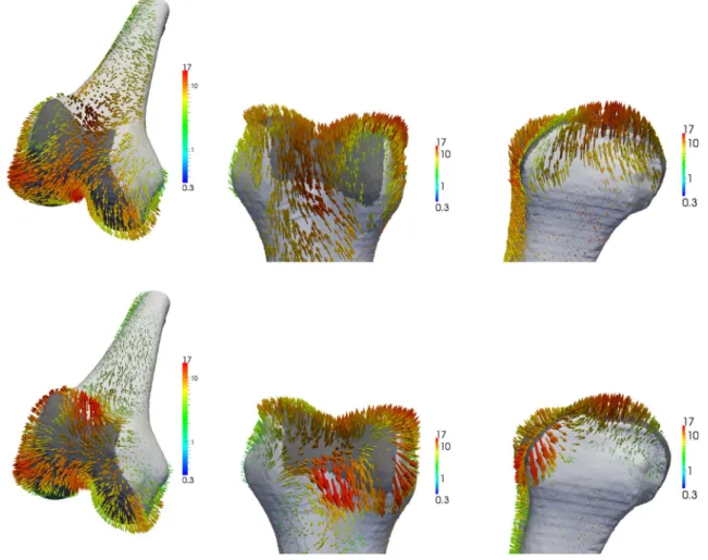 Fig. 5 The figures show the warp field resampled on the reference’s surface, depicted as arrows