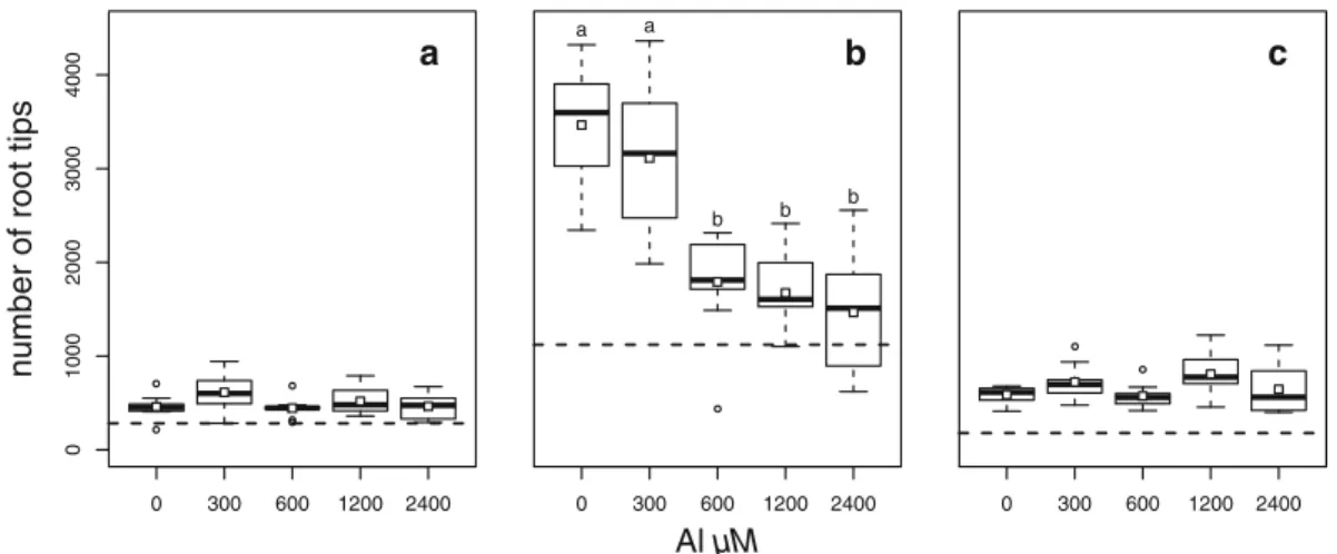 Fig. 2 Boxplots of the number of root tips for C. odorata (a), H. americanus (b), and T