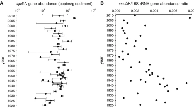 Fig. 3 a Depth distribution of spo0A gene abundance (copies g -1 sediment). Error bars correspond to independent technical qPCR replicates.