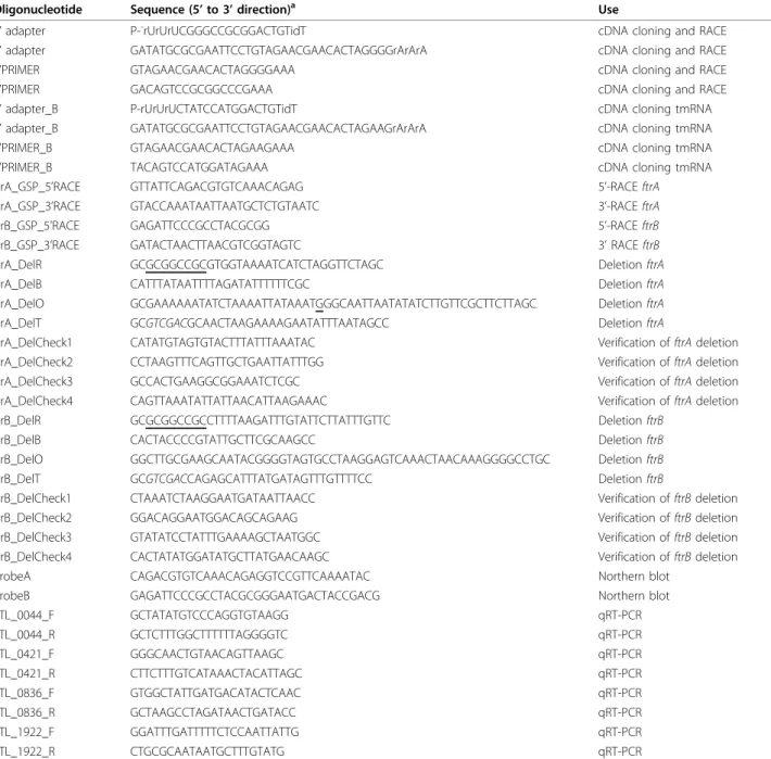 Table 5 Oligonucleotides used in this study