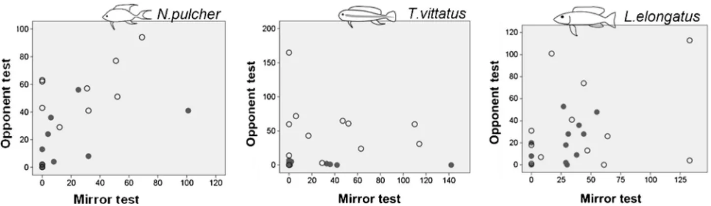 Fig. 2 Correlations of aggressive behaviours against a mirror and against a live opponent shown by (left to right) N