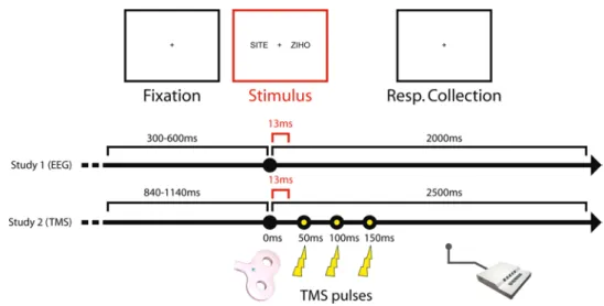 Fig. 1   schematic chronology in  milliseconds (ms) of a trial for  the presentation of one pair of  letter strings in the lexical  deci-sion task in study 1 (EEG) and  study 2 (tMs)