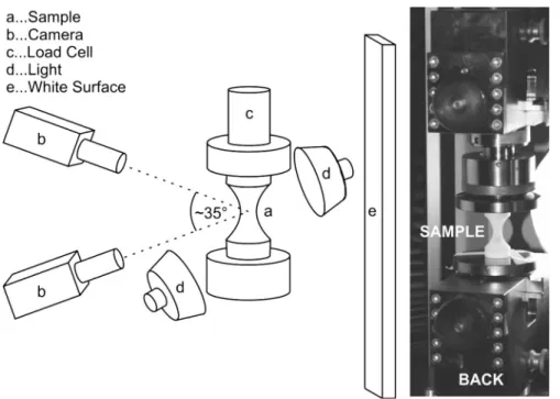 Fig. 3 Experimental setup to test different sizes of the curved sample shape