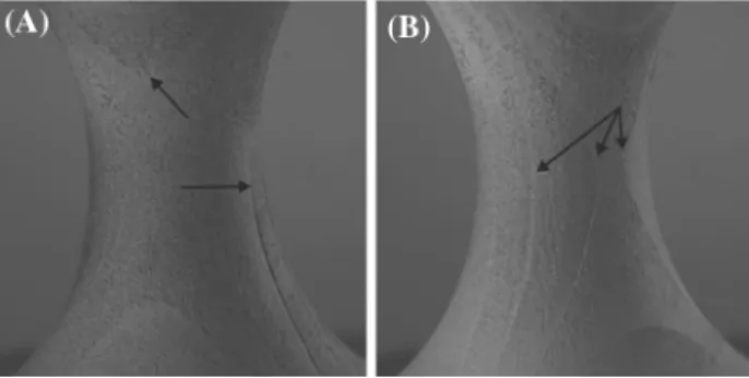 Fig. 5 Area in the field of view of the camera for two samples with arrows indicating visible growth ring borders